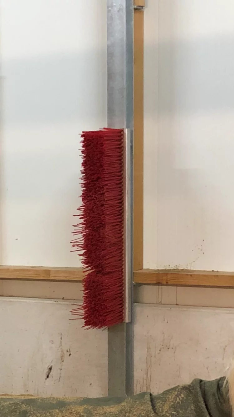 Viehbürste, Schubberbüste, Borstenleiste zur Fellpflege für Pferde, Ponys, Rinder - [ 1000mm mit Metallschiene zur Befestigung ] 